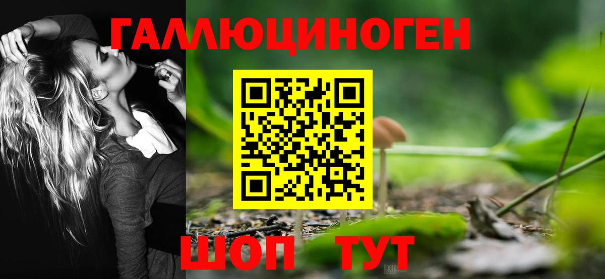 Жуковский  Псилоцибиновые грибы прущие грибы  Вход с VPN 